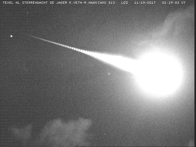 Results for the Leonid fireball 2017 November 19